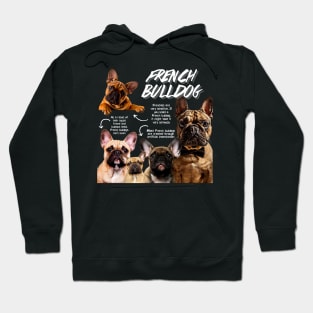 French Bulldog fun Facts Hoodie